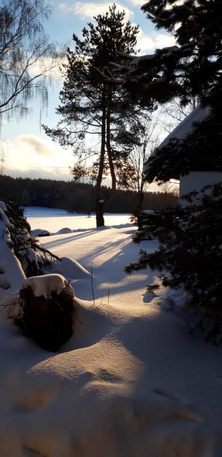 Apartman Jafi Lipno Nad Vltavou Exterior photo